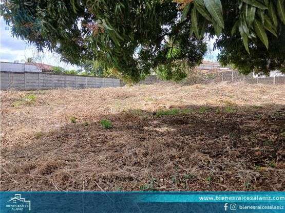 Vendo Terreno en Las Colinas - VZ - Imagen 3
