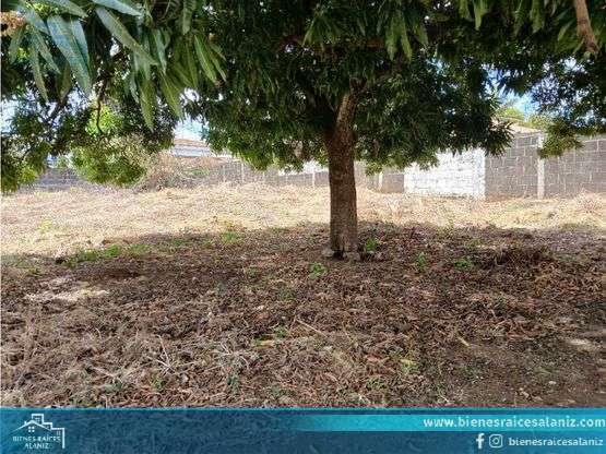 Vendo Terreno en Las Colinas - VZ - Imagen 5