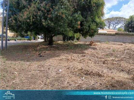 Vendo Terreno en Las Colinas - VZ - Imagen 6