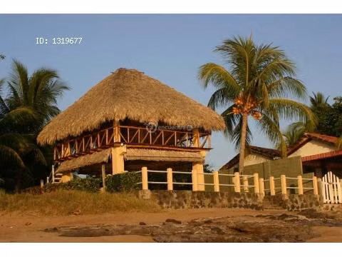 ranchos de palma o teja