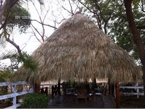 ranchos de palma o teja