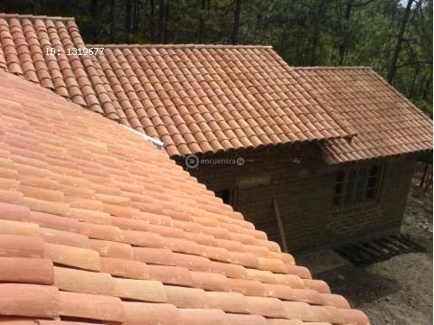 ranchos de palma o teja
