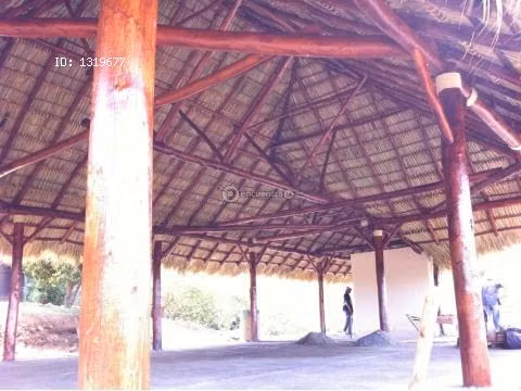 ranchos tipicos