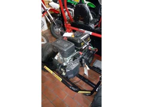 Buggy 208cc,