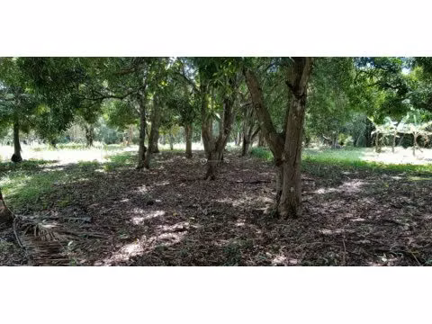Sale of land reduced in El Higo San Carlos