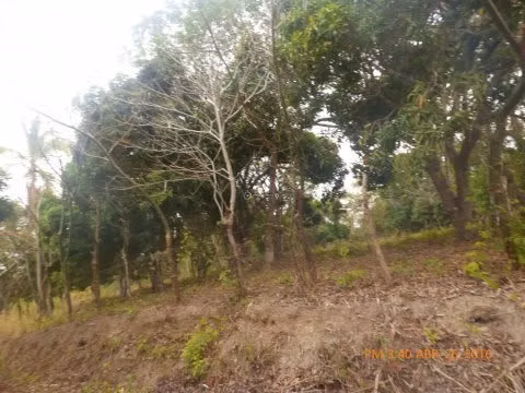 Venta de terreno rebajada en El Higo San Carlos
