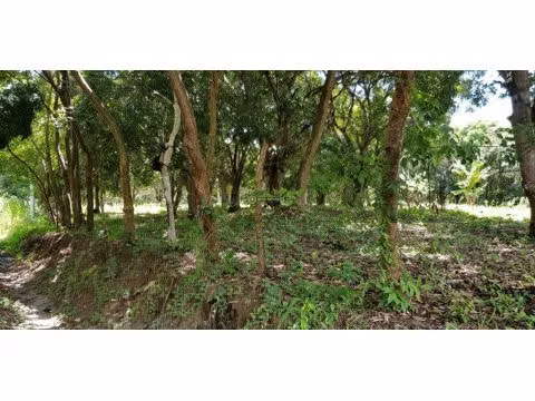 Venta de terreno rebajada en El Higo San Carlos