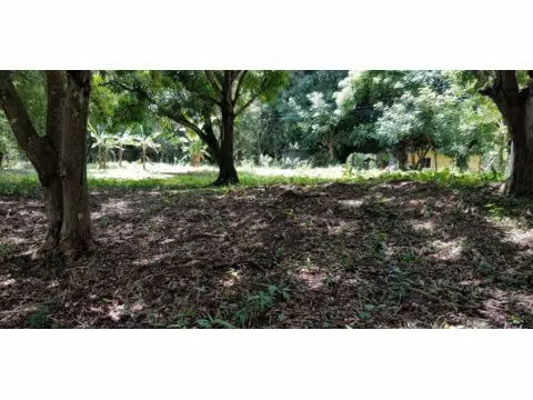 Venta de terreno rebajada en El Higo San Carlos