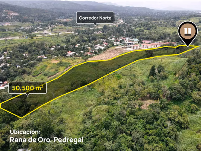 Se Vende lote de terreno en Pedregal 5 Ha