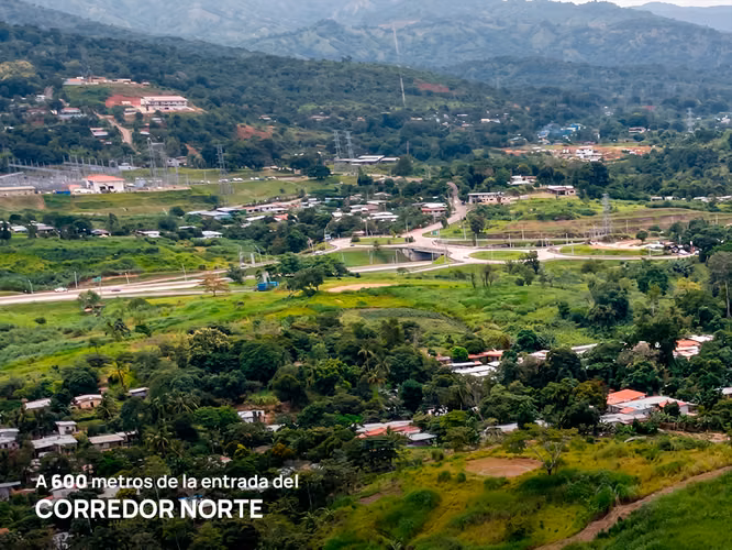 Se Vende lote de terreno en Pedregal 5 Ha