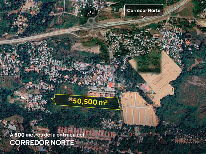 Se Vende lote de terreno en Pedregal 5 Ha