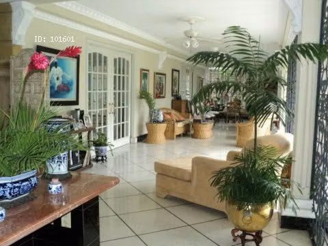 Casa en Altos de Golf, San Francisco, 850 m2 - Imagen 3