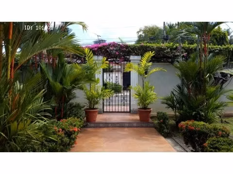 Casa en Altos de Golf, San Francisco, 850 m2 - Imagen 14