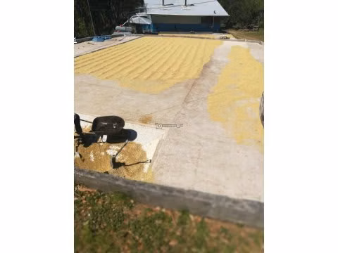 Finca Cafetalera, Tierras Altas, 103 hectáreas