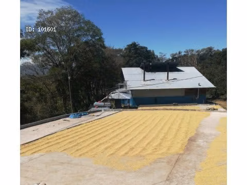 Finca Cafetalera, Tierras Altas, 103 hectáreas