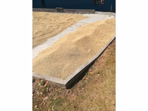 Finca Cafetalera, Tierras Altas, 103 hectáreas