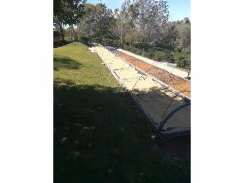 Finca Cafetalera, Tierras Altas, 103 hectáreas