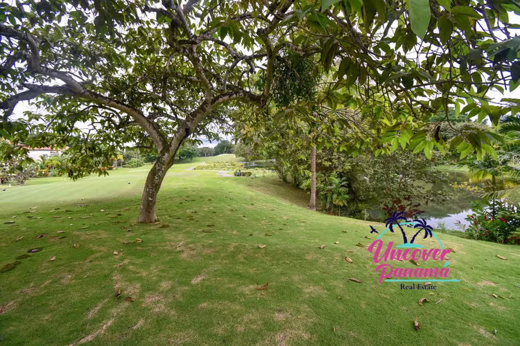 Destino de vacaciones en la impresionante costa del Pacífico de Panamá - Imagen 13