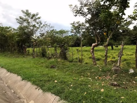 Terreno en Dolega, Chiriquí, 5,000m2