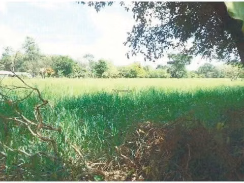 Terreno en Dolega, Chiriquí, 5,000m2