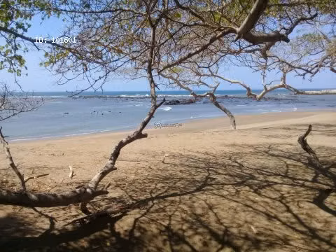 Finca Pedasí, Destiladeros, 200 hectáreas, para desarrollo turístico