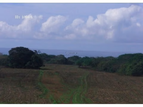Finca Pedasí, Destiladeros, 200 hectáreas, para desarrollo turístico