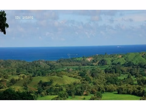 Finca Pedasí, Destiladeros, 200 hectáreas, para desarrollo turístico