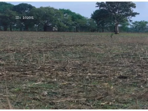 Finca Pedasí, Destiladeros, 200 hectáreas, para desarrollo turístico