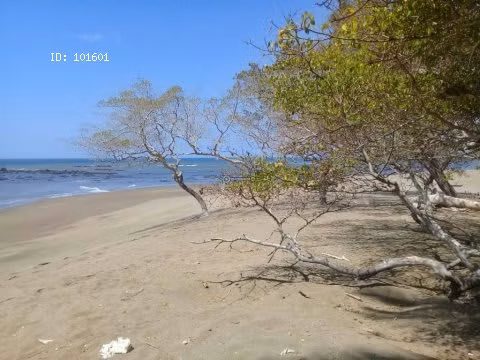 Finca Pedasí, Destiladeros, 200 hectáreas, para desarrollo turístico