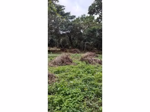 Venta de Terreno en El Valle de Antón, El Roble