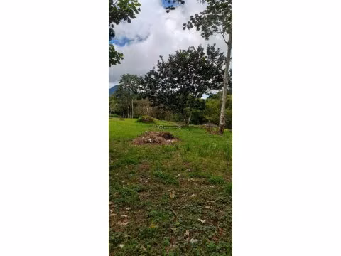 Venta de Terreno en El Valle de Antón, El Roble