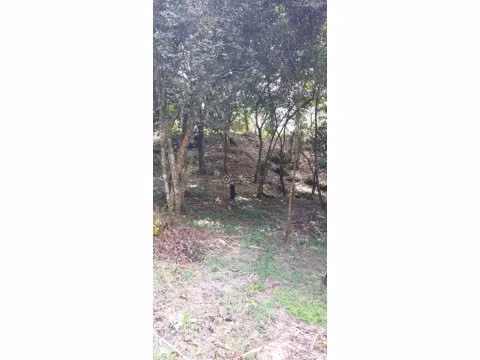 Venta de Terreno en El Valle de Antón, El Roble