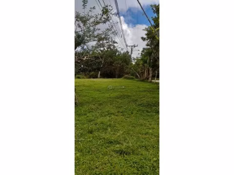 Venta de Terreno en El Valle de Antón, El Roble
