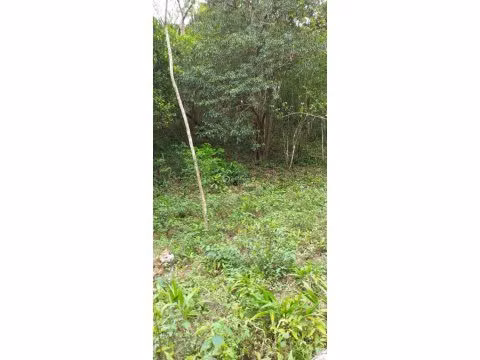 Venta de Terreno en El Valle de Antón, La Amapola