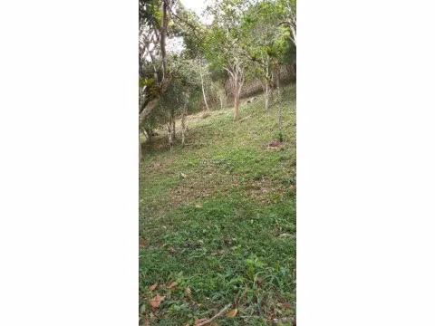 Land for sale in Anton Valley, La Amapola