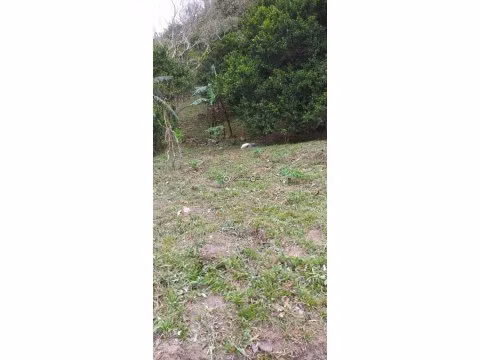 Venta de Terreno en El Valle de Antón, La Amapola