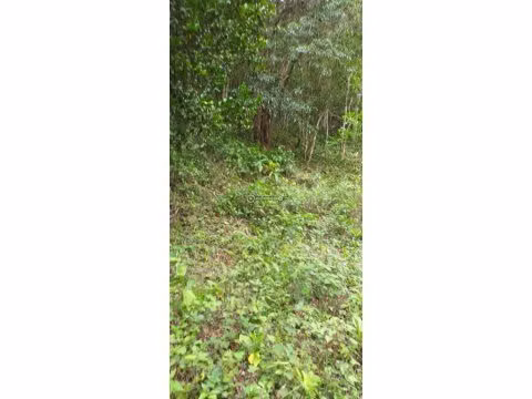 Venta de Terreno en El Valle de Antón, La Amapola