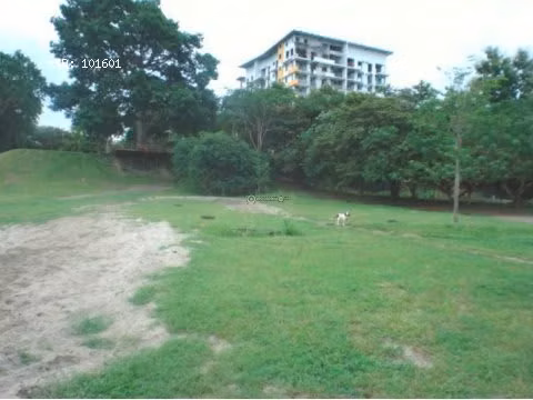 Terreno en Nueva Gorgona, 7,250m