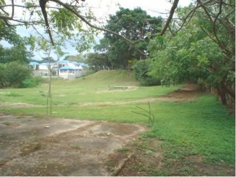 Terreno en Nueva Gorgona, 7,250m