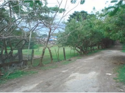Terreno en Nueva Gorgona, 7,250m