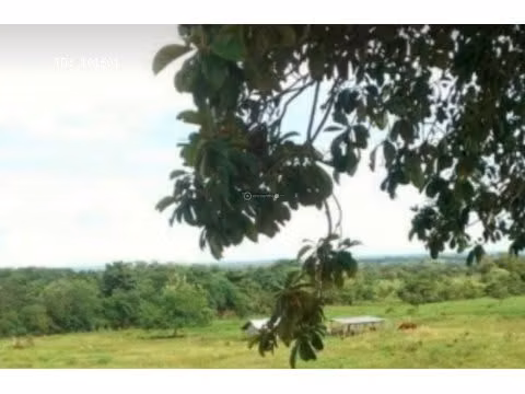 Finca en Tanara, 25 hectáreas