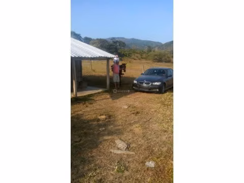 Finca en Tanara, 25 hectáreas