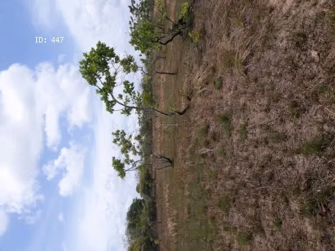 VENTA DE FINCA TITULADA DE 65 HECTAREAS EN RIO HATO