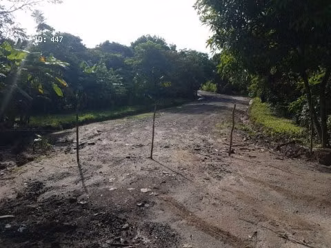 For Sale 65 hectareas, Rio Hato