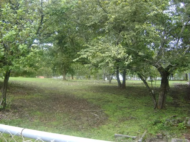 Terreno en Río Mar, San Carlos, 5,000m2