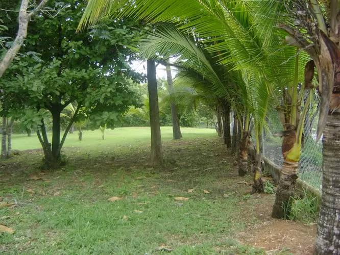 Terreno en Río Mar, San Carlos, 5,000m2