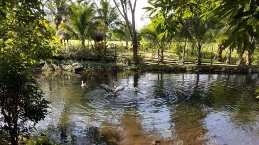 Finca con Casa Club Campestre en Boquerón, Chiriquí, 1ha