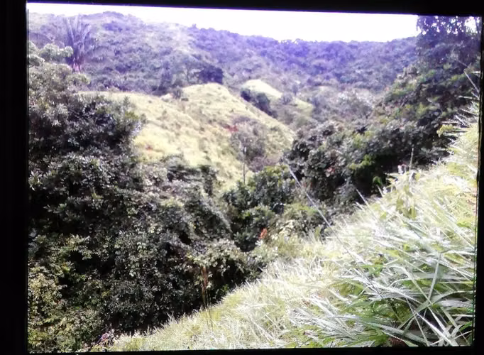 Finca en Soná, Veraguas, 46Ha
