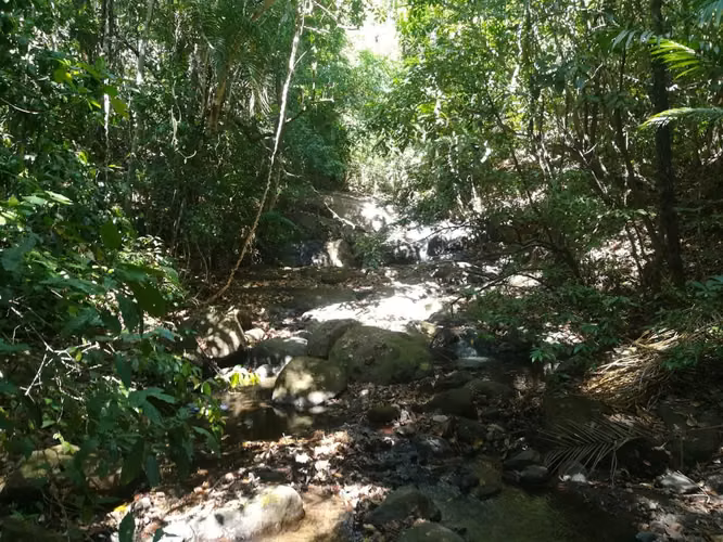 Finca en Soná, Veraguas, 260Ha