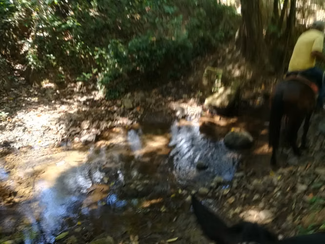 Finca en Soná, Veraguas, 260Ha